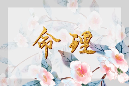 择吉黄历每日宜忌 结婚择吉日 择吉皇历